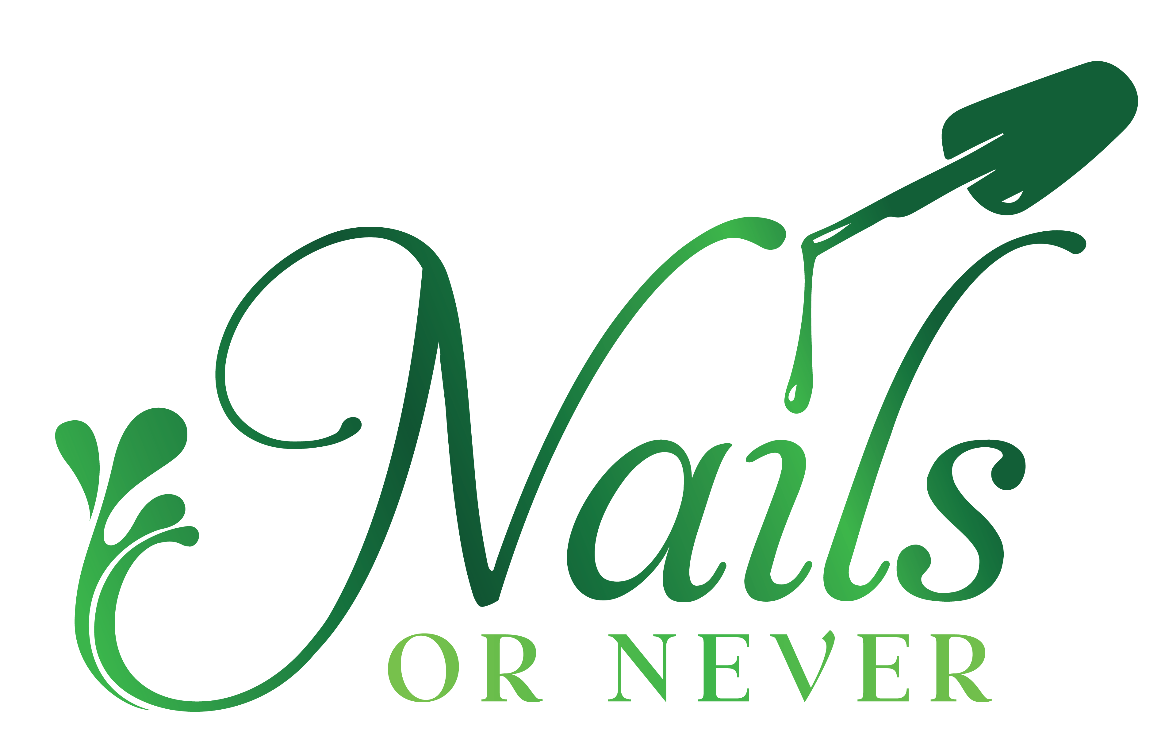 Nails Or Never - Professional nails care services in Malta,NY 12118